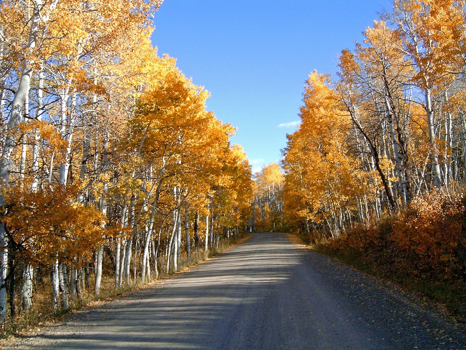 Hiking Havens: 10 Top Trails To Hike For Fall Adventures In Colorado