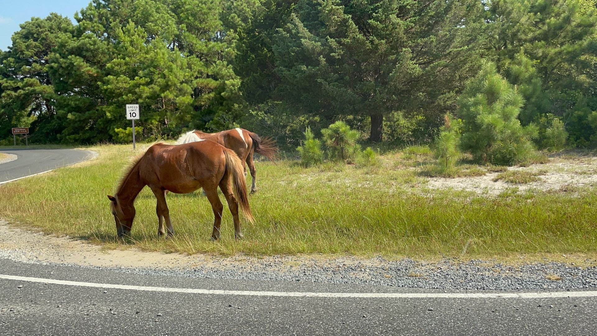 This Is The Most Beautiful Town To Visit In Virginia In 2024   Yuly Shaiou Eydlbqcnvw4 Unsplash 