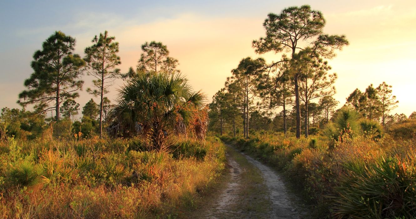 7 Most Scenic Hikes In The U.S. For 2024