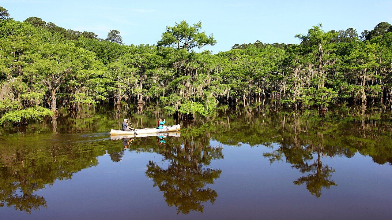 Canoeing on Saw Mill Pond in Caddo Lake State Park, in Harrison County, Texas,