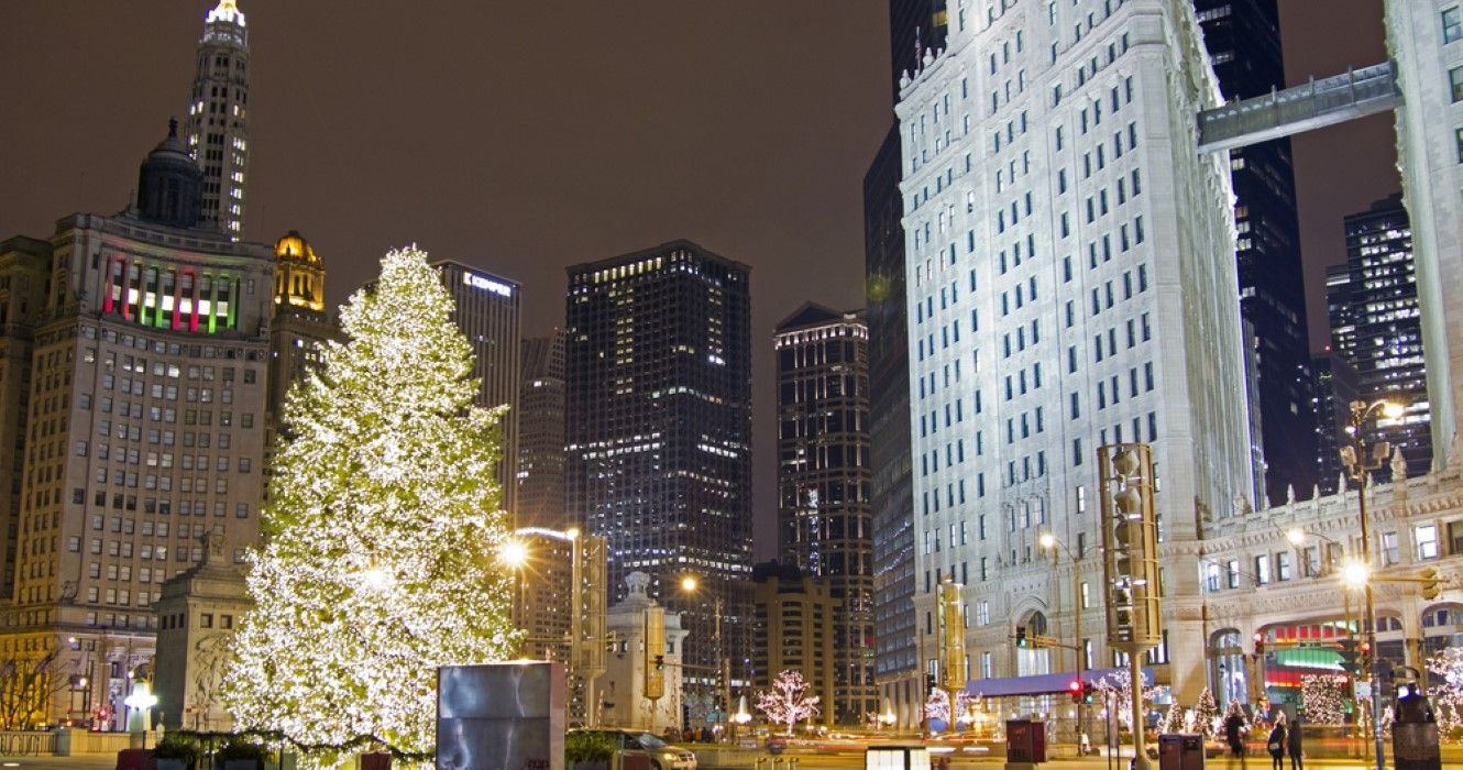 Chicago Christmas Tree on the Magnificent Mile - North Michigan Avenue