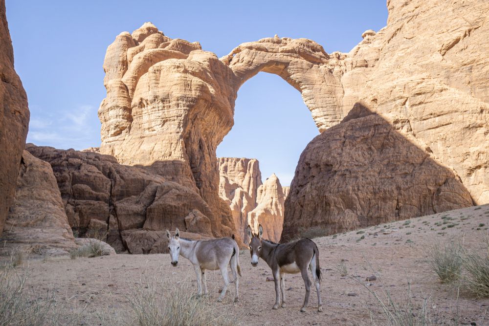 Chad s Aloba Arch Is Even More Stunning Than Delicate Arch