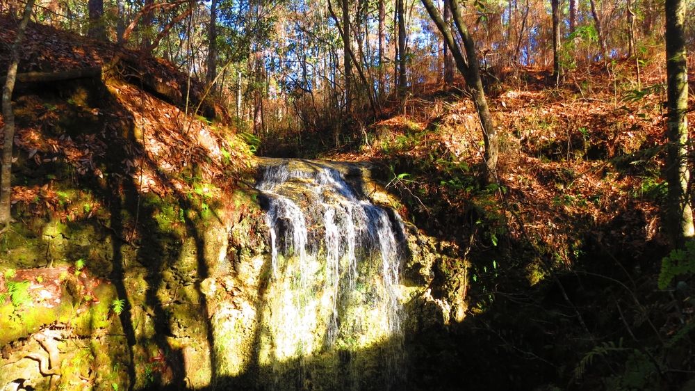 Falling Waters State Park, Chipley, Florida