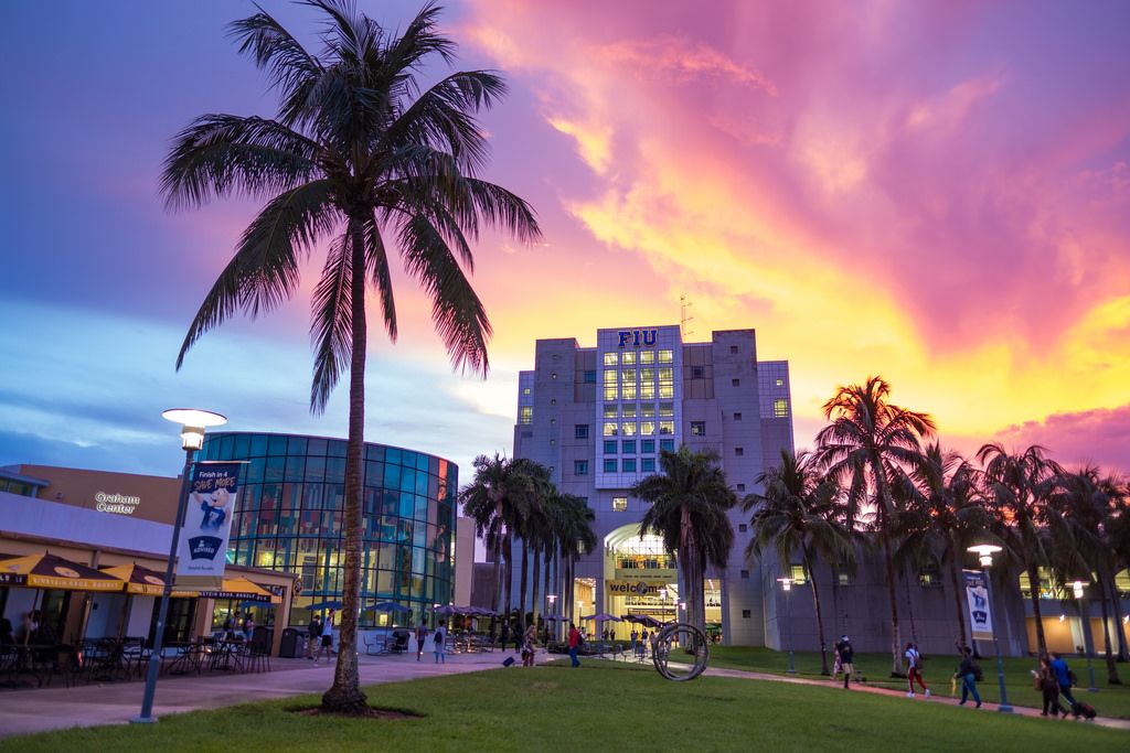 A palm tree in front of Florida International University with a sunset in the background.