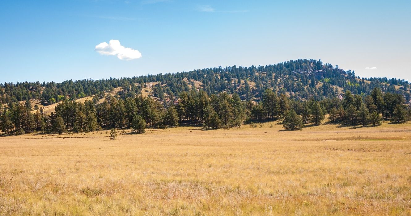 Florissant Fossil Beds National Monument in Colorado