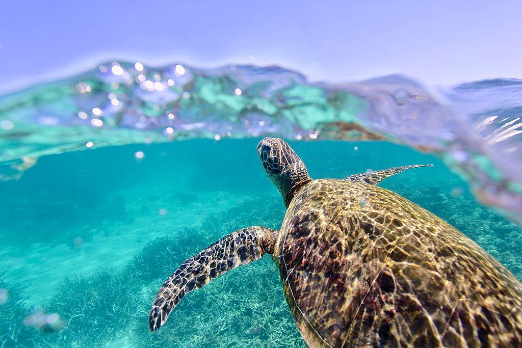 10 Things To Do In Australia On A Backpacker's Budget