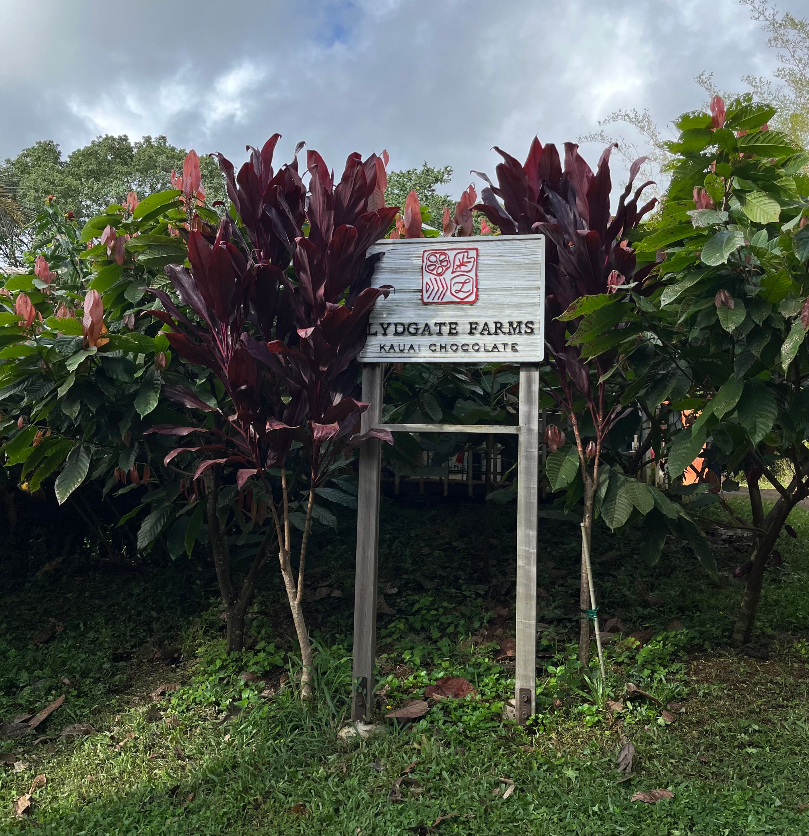 Sign among lush greenery 