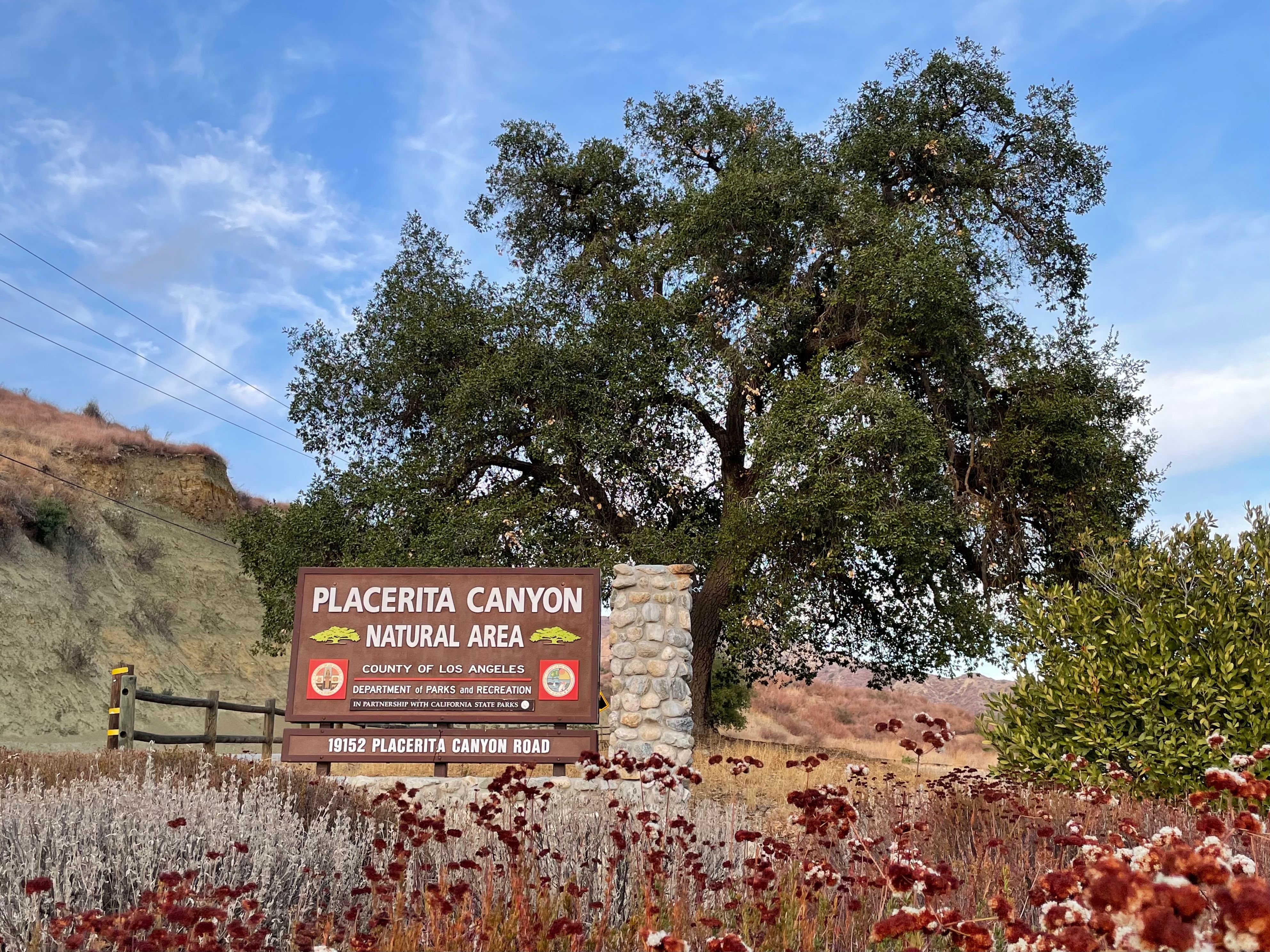 Placerita_Canyon_State_Park