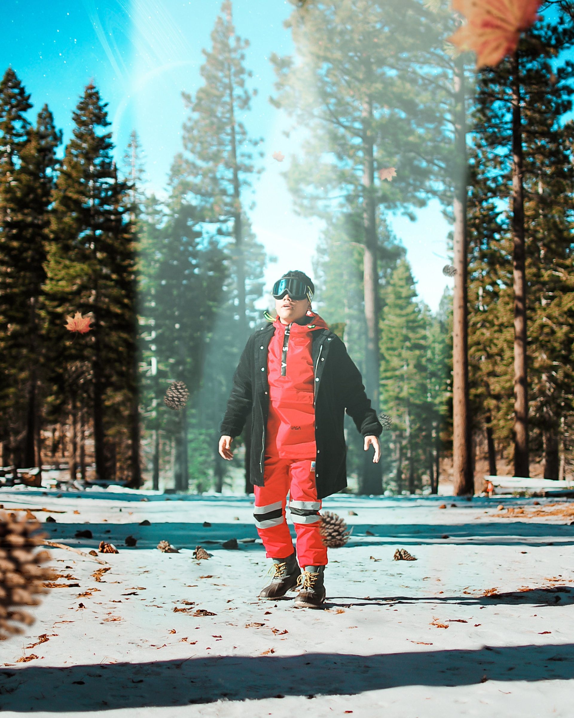 10 Fun Bucket-List Things To Do In Lake Tahoe After It Snows