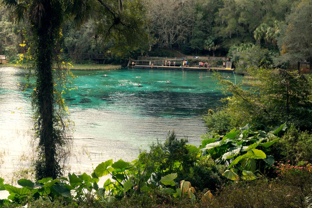 Rainbow Springs State Park, Florida