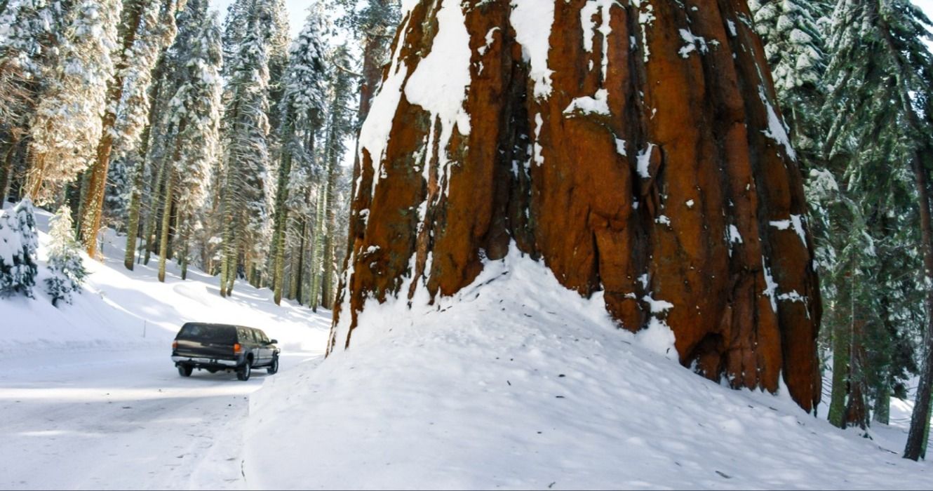 Snow in the winter in Sequoia National Park in the Sierra Nevada Mountains of California, USA.
