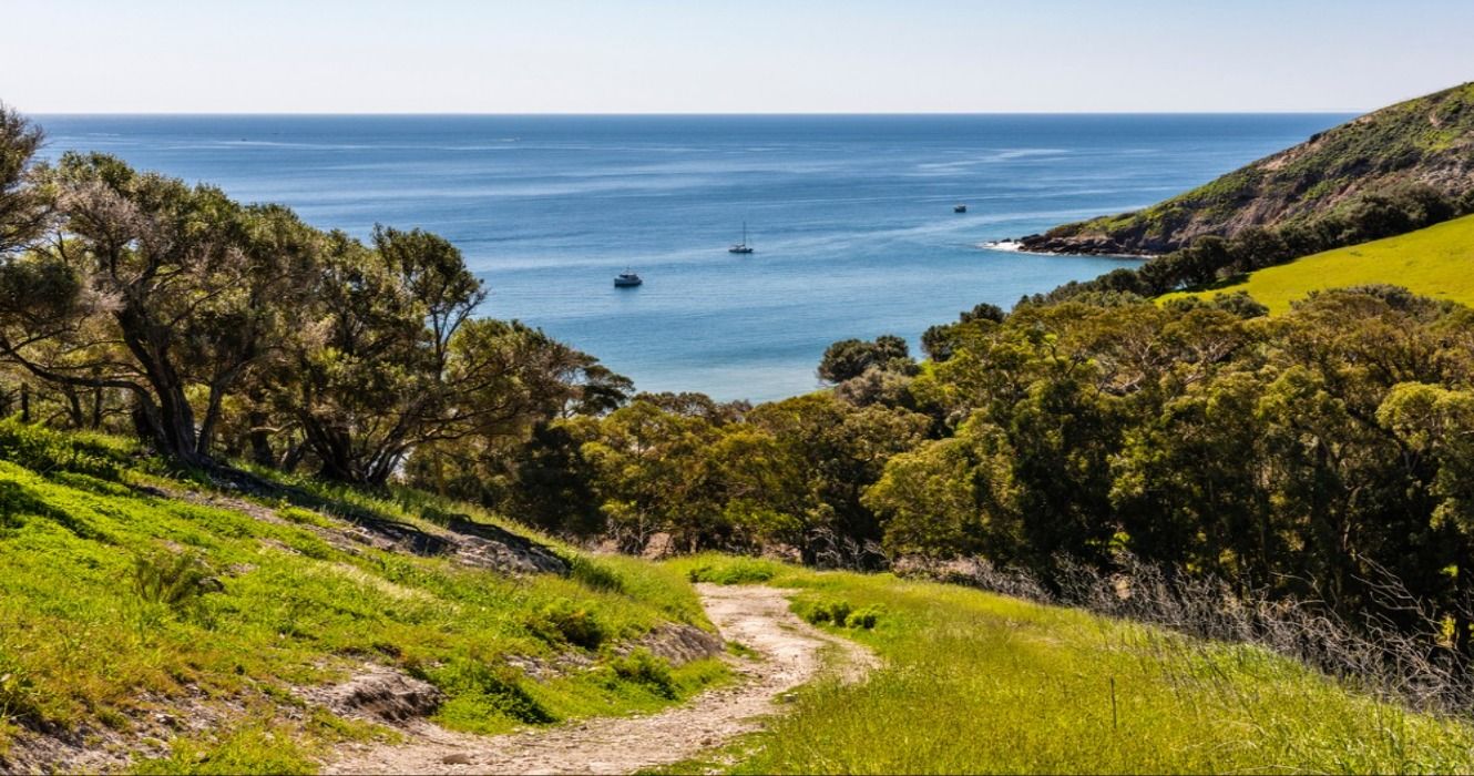 The hiking trail down to Smugglers Cove on Santa Cruz Island, Channel Islands National Park, Southern California, SoCal, CA, USA