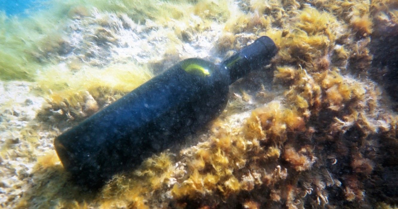 Sealed bottle of wine under water