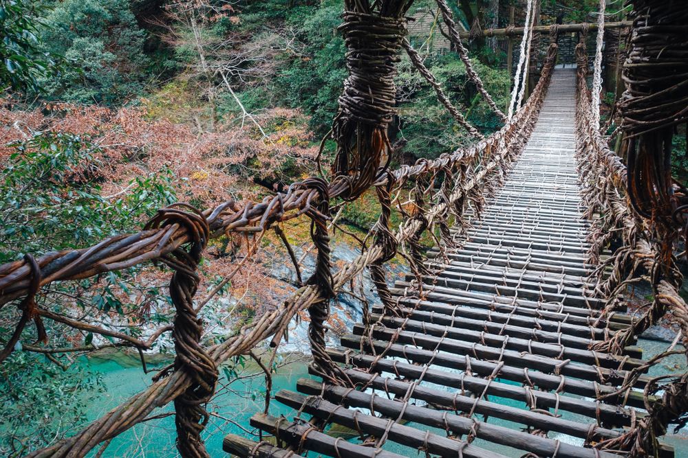 10 Of The Most Beautiful Hiking Trails In Japan As Of 2023