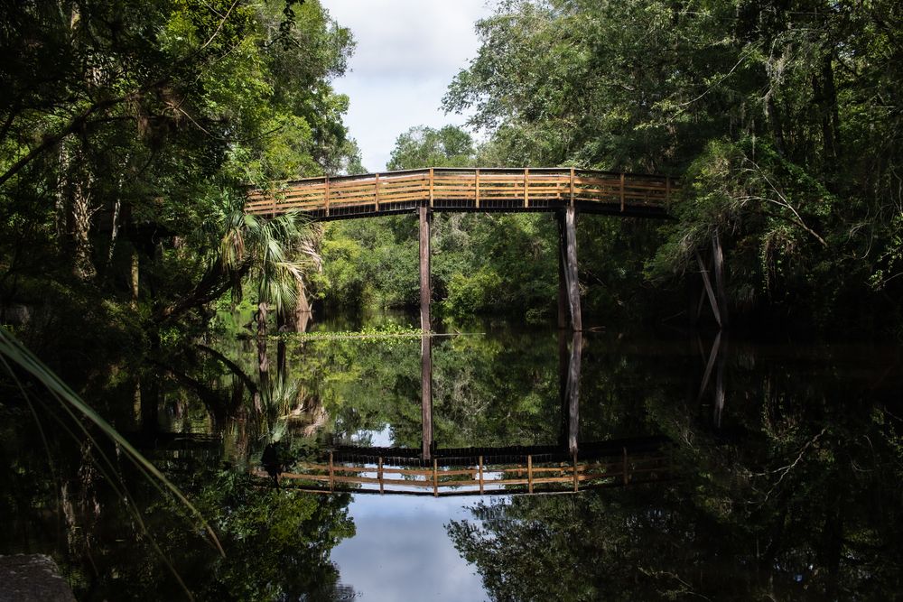 The bridge in Hillsborough River State Park near Tampa, Florida, USA