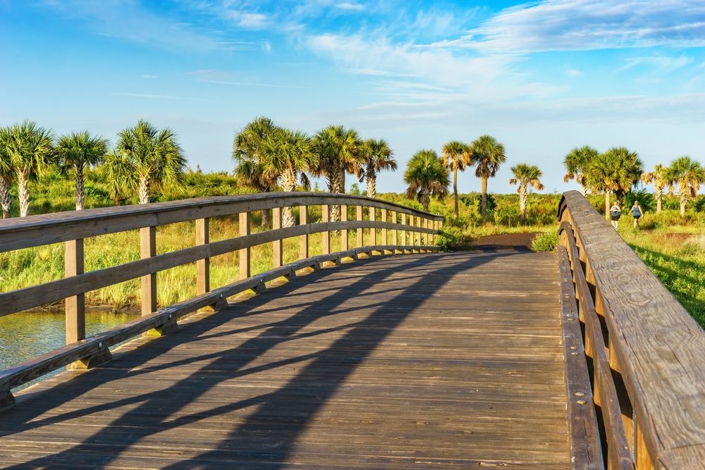 A boardwalk in Robinson Preserve in Bradenton near Tampa Bay, Florida, USA