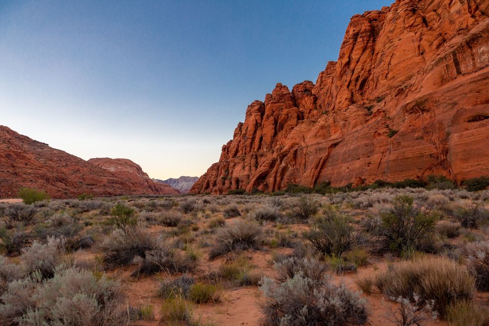 Golden hour at Snow Canyon State Park in Ivins 
