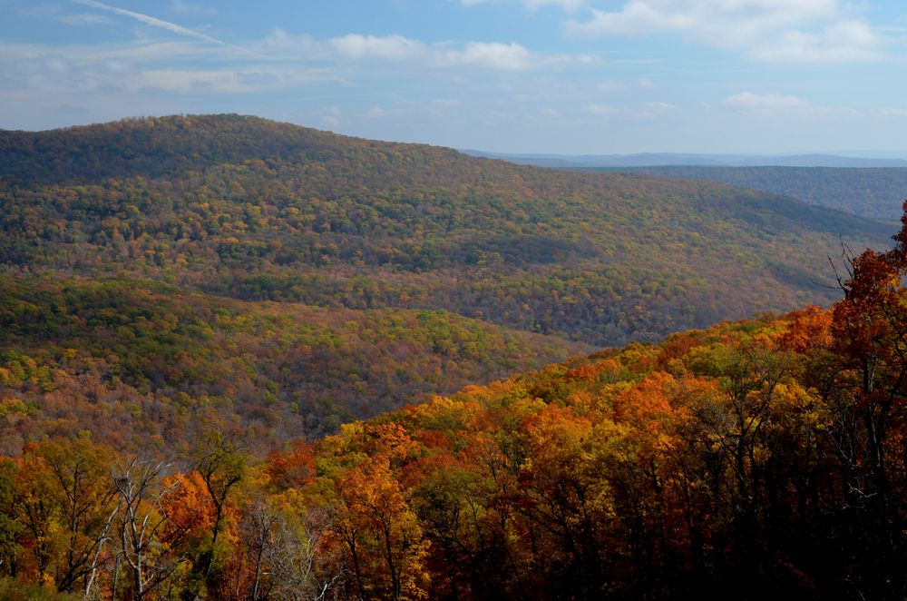 10 Road Trips You Can Take Through The Scenic State Of Arkansas