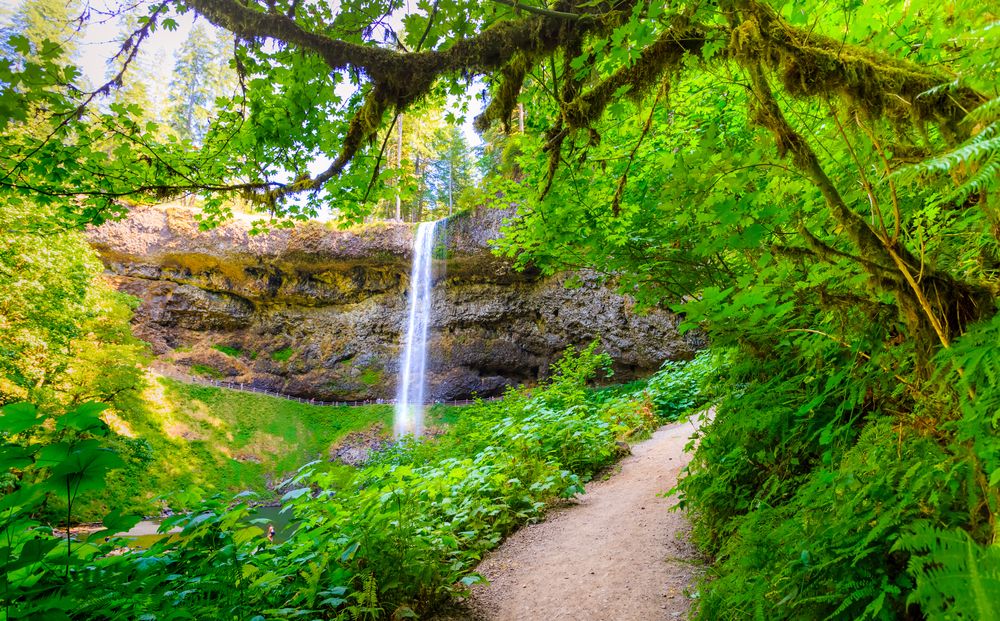 A waterfall along the Trail of Ten Falls in Silver Falls State Park, Oregon, OR, USA