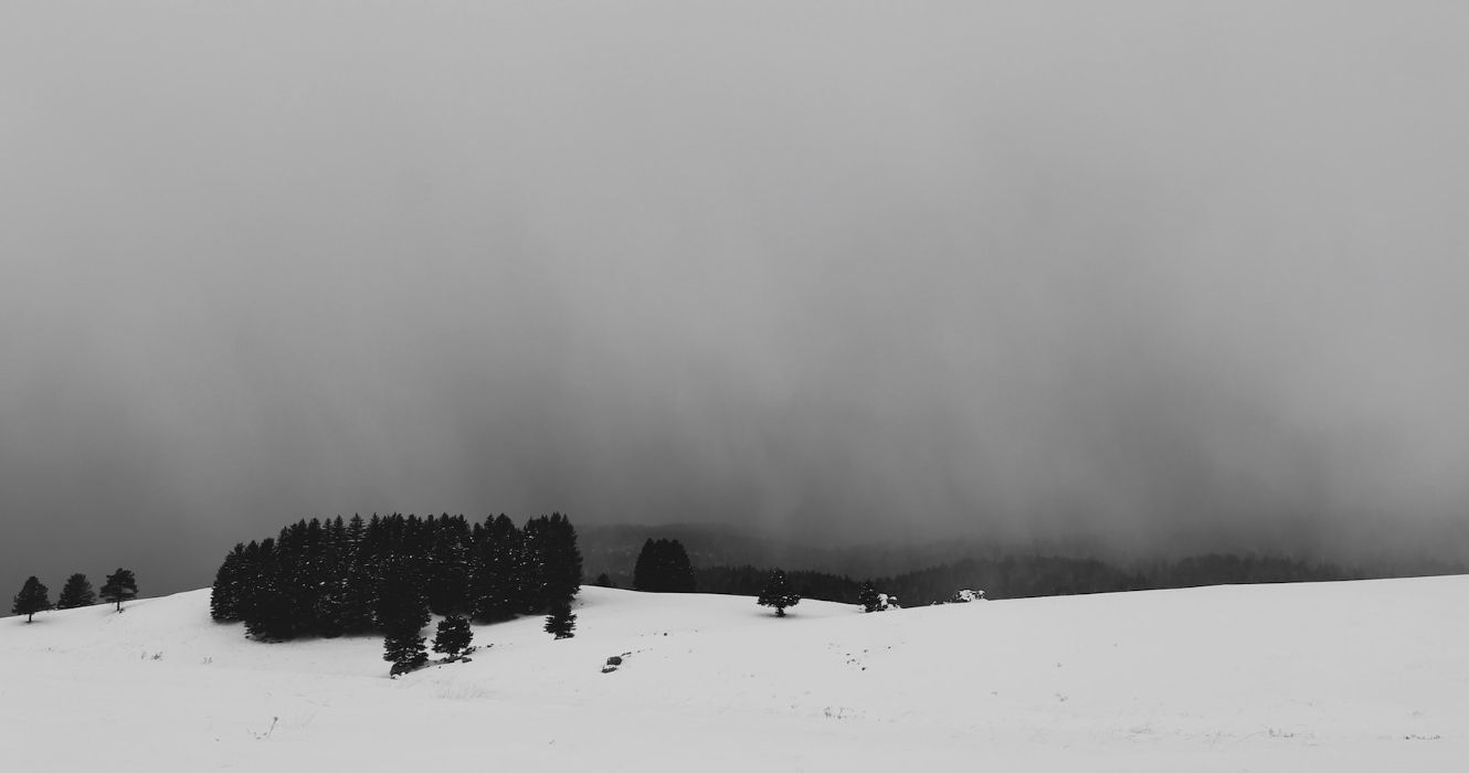 Does It Snow In New Mexico? Learn What Winter Is Like In The Land Of