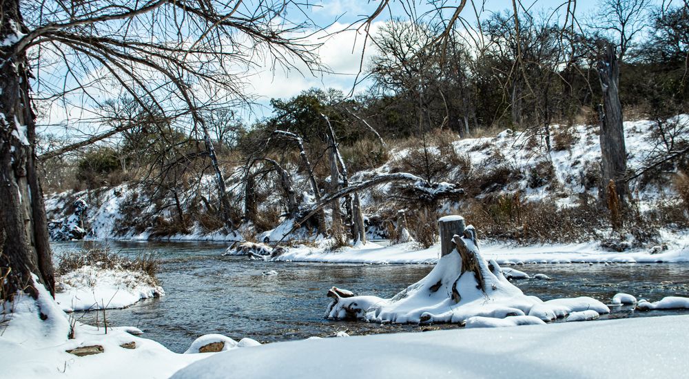 Tree stump in the Blanco River covered in snow in Wimberley, Texas