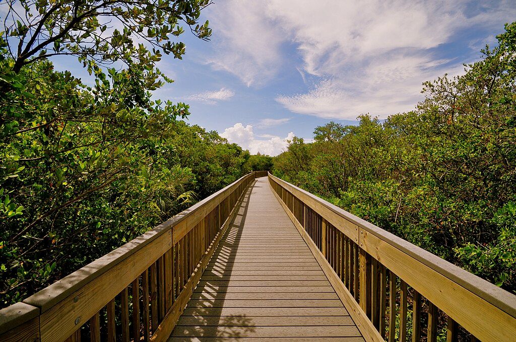 Boardwalk at Weedon Island Preserve Trail
