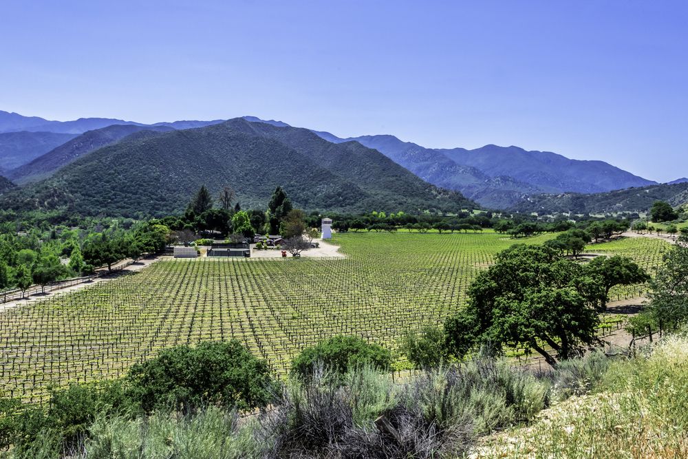 10 Most Popular Wine Countries In California, Ranked By Visitor Experience