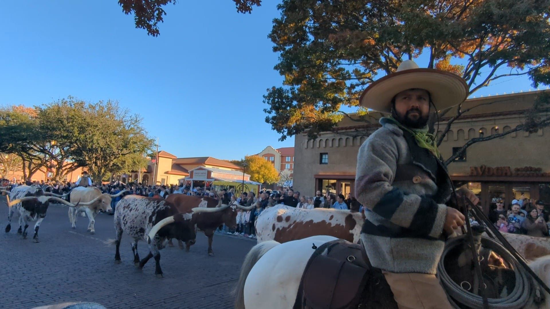 Cowboy Up: 10 Reasons Why Everyone Should Visit The Fort Worth Stockyards