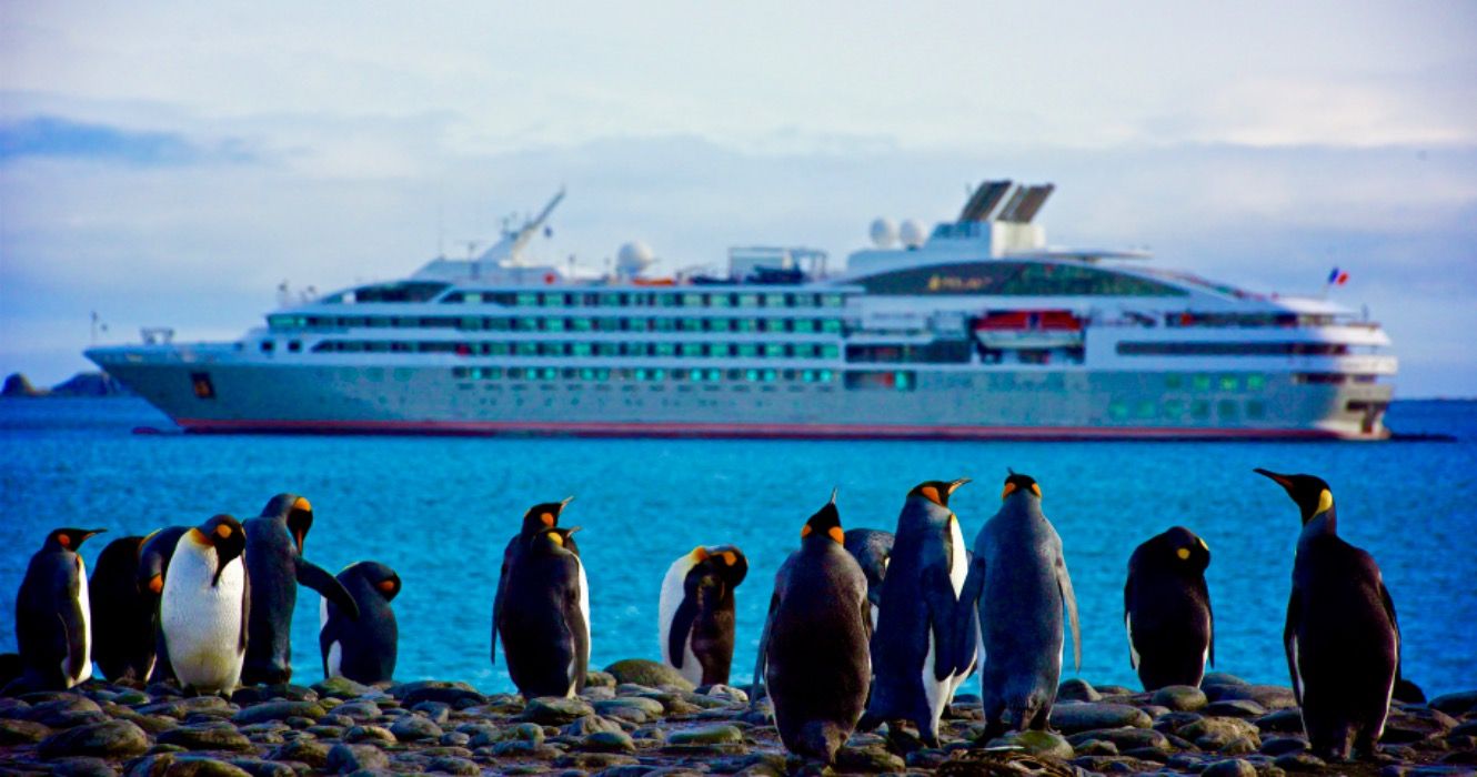 King Penguins In Front of Cruise Ship In Antarctica