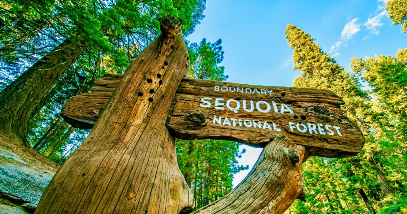 Sequoia National Forest Wooden Sign