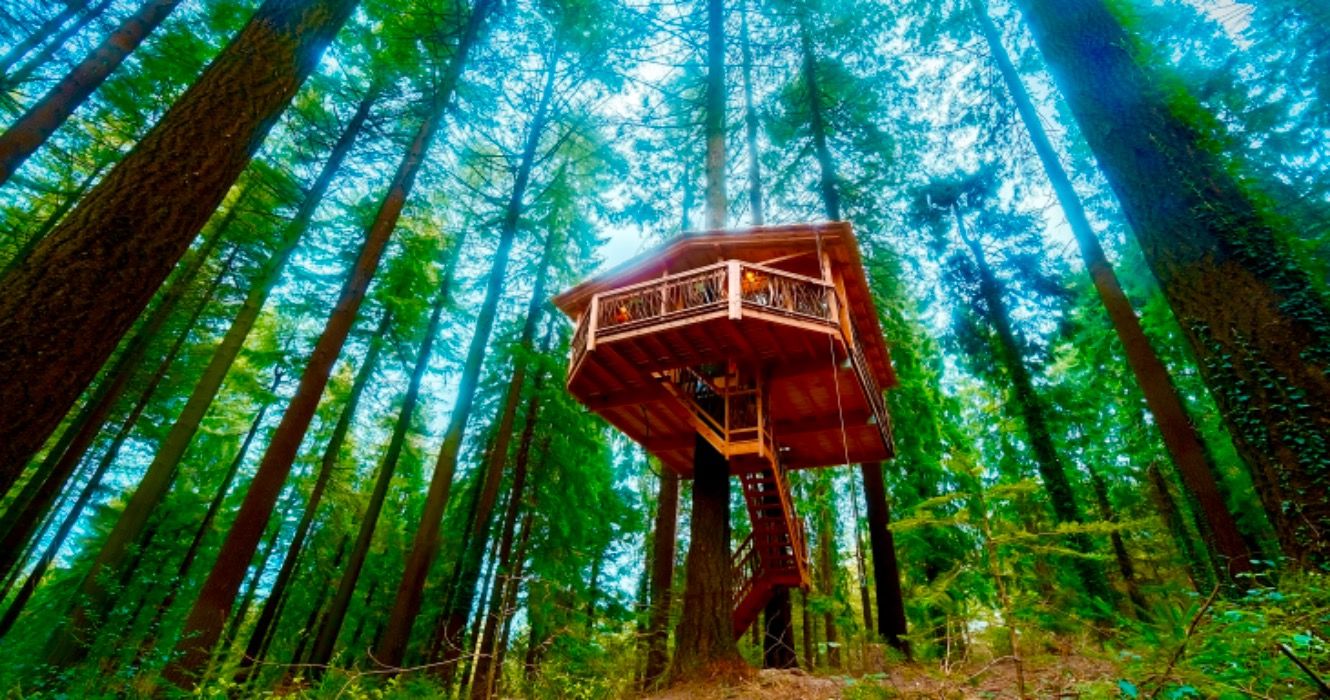 10 Best Treehouse Hotels In The US