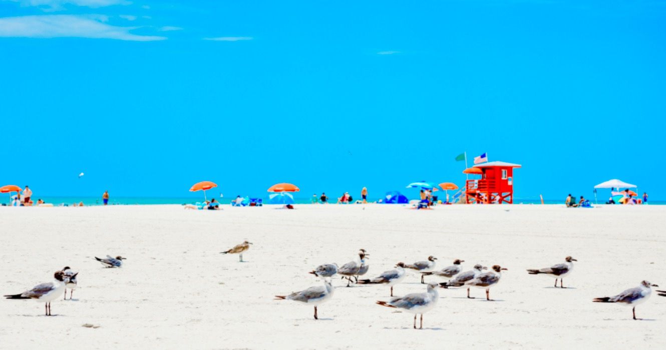 Playa de Siesta Key en Sarasota, Florida