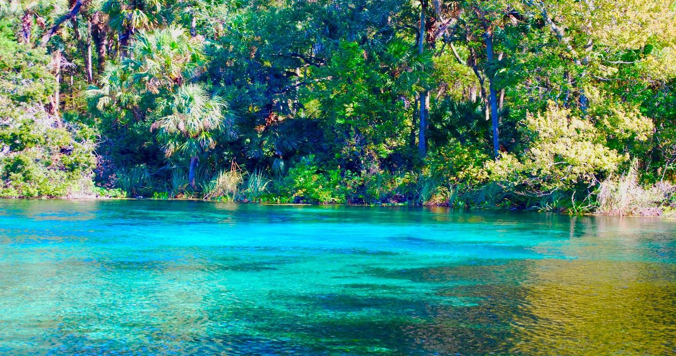 Alexander Springs Is The Best Swimming In Ocala, And Also Home To Its Own Blue Hole