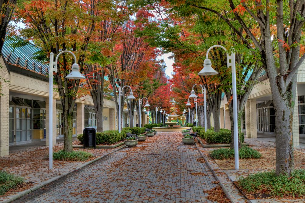 Fall colors and autumn foliage along the City Walkway, Columbia, Maryland