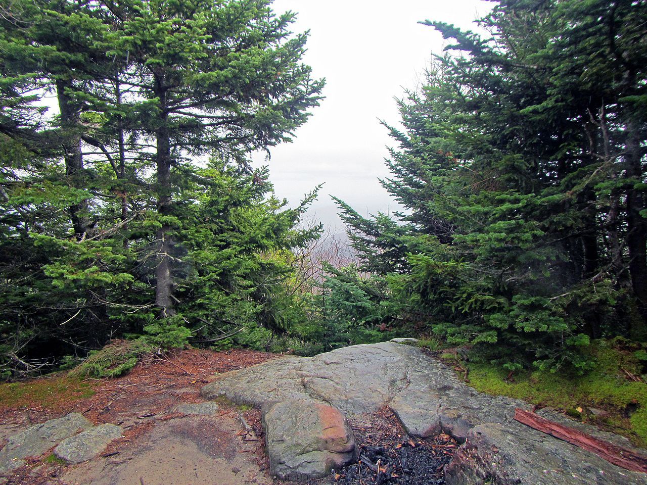 10 Beautiful Upstate New York Hikes, Ranked By Their AllTrails Rating