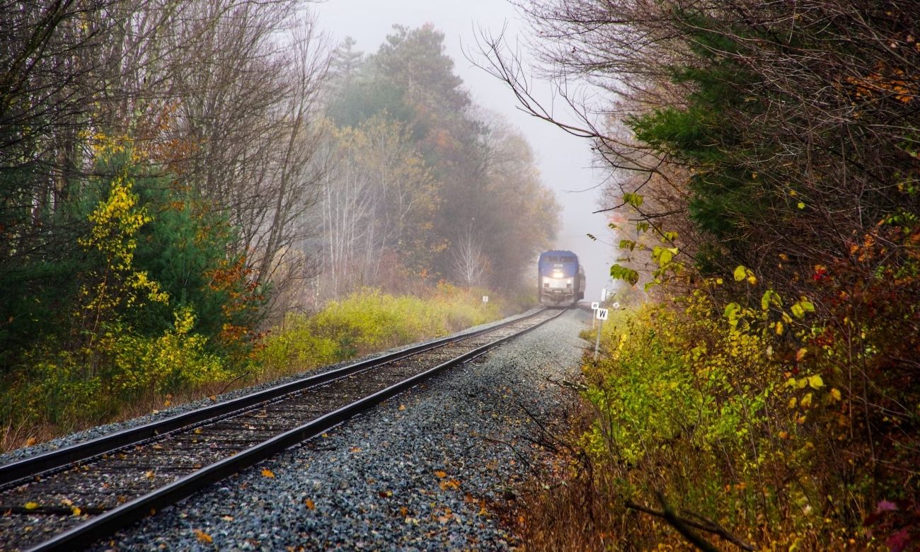 Train track with trees on each side and an approaching Amtrak train some 20-30 meters away in light fog with some light on the front
