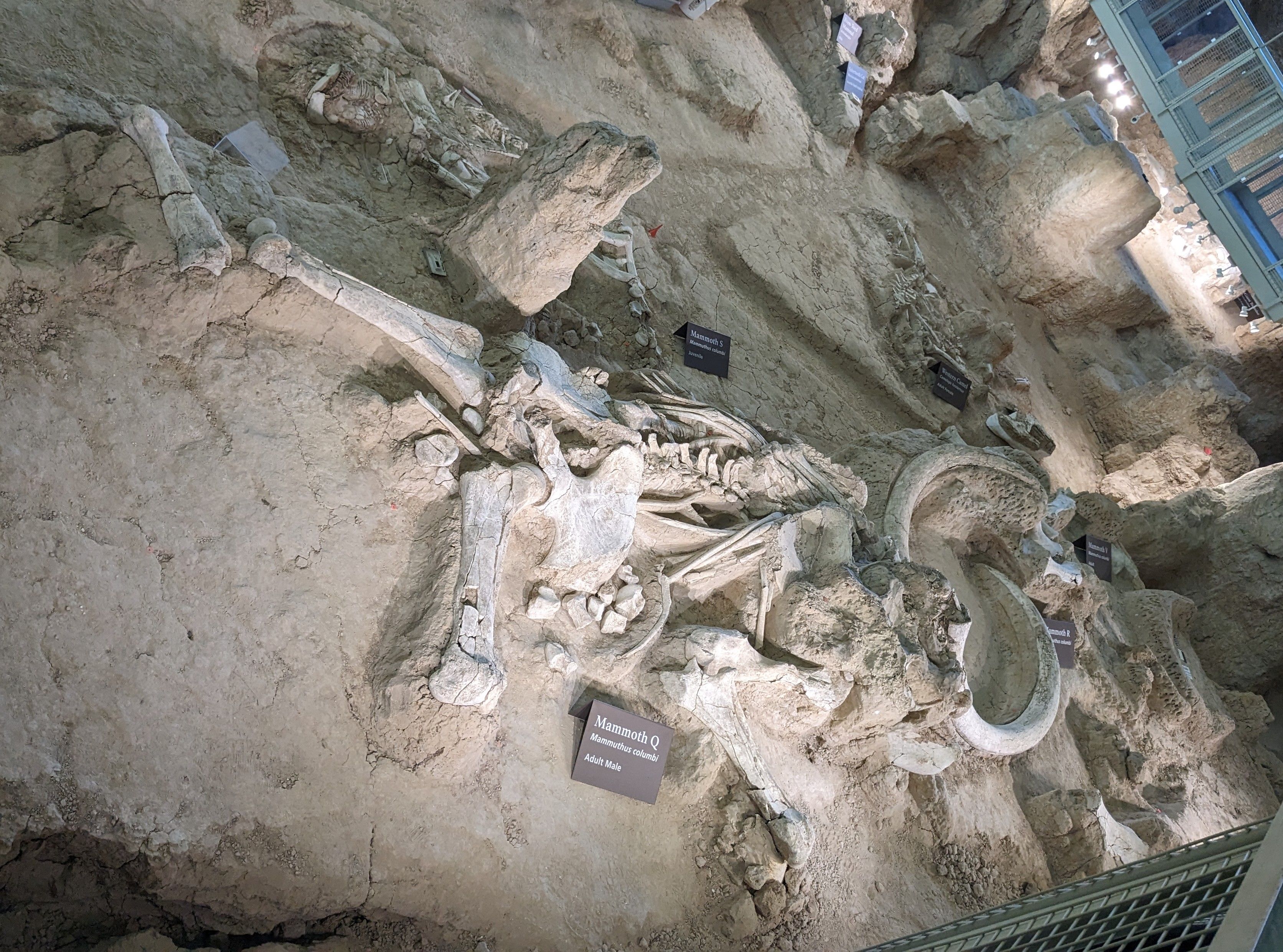 10 Reasons Waco, Texas Is Wonderful For Family Getaways