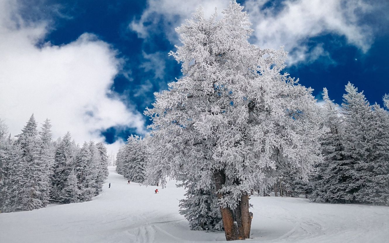 Arizona Snowbowl, Flagstaff, United States 