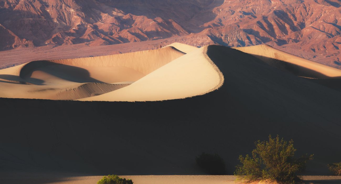 Desert landscape of the golden Mesquite flat, Death Valley