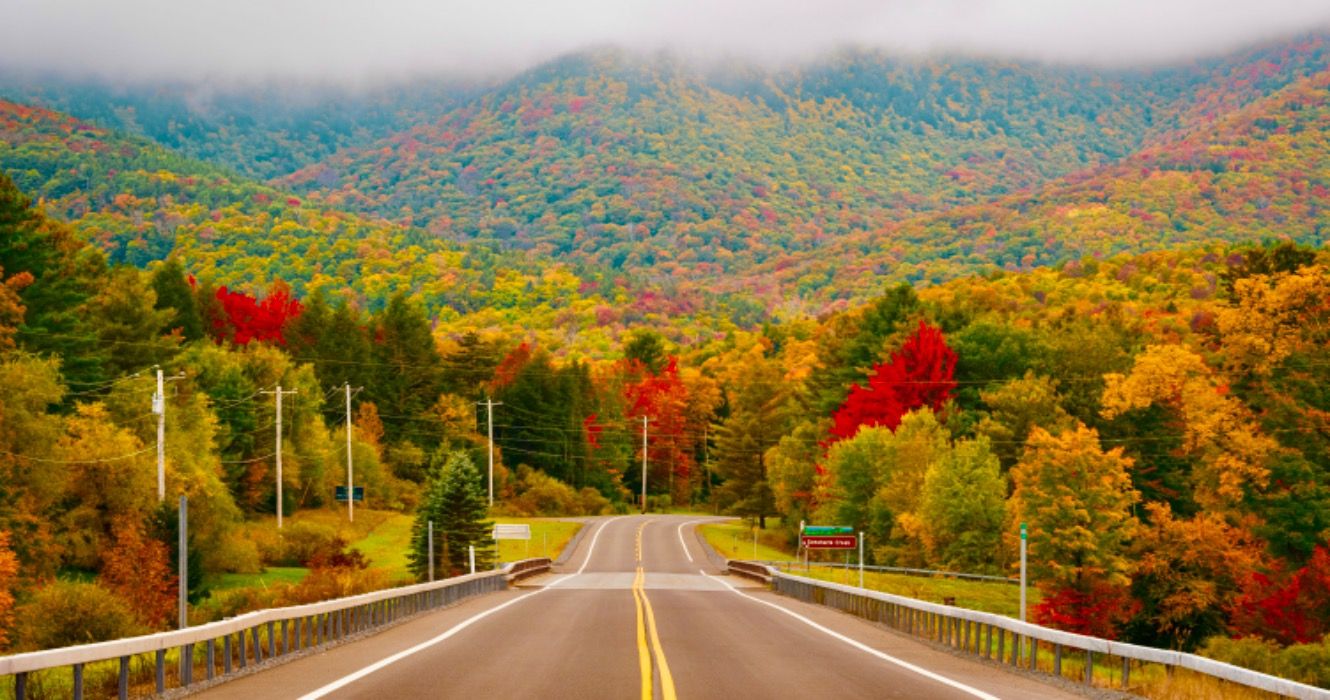Road with autumn foliage, in the Catskill Mountains, New York
