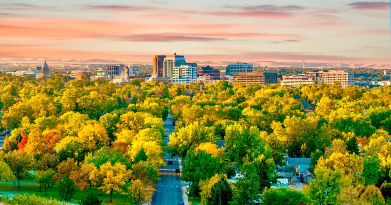 Fall colors in the city of trees Boise Idaho