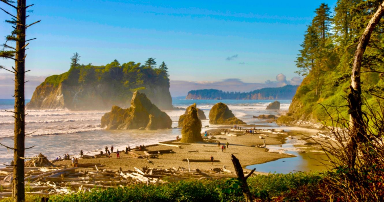 See Washington's Most Beautiful National Park (With No Reservation)