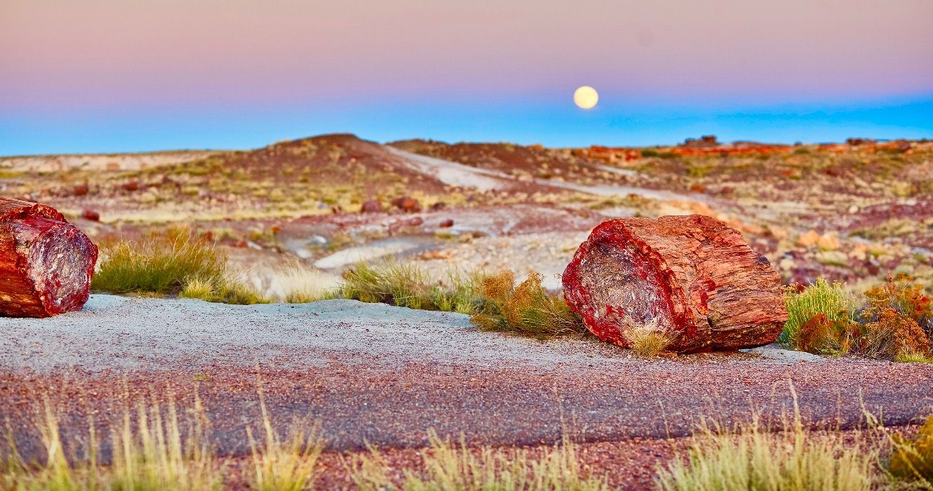 Petrified logs in the Painted desert and Petrified forest national park with full moon, Arizona, USA