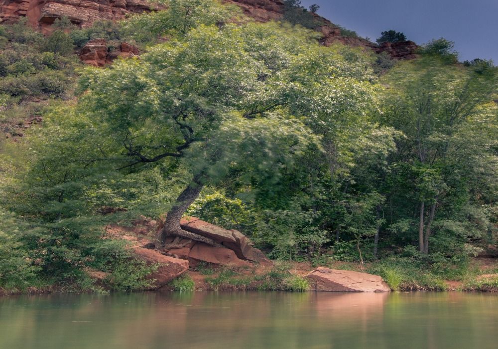 10 Charming Beach Towns In Arizona