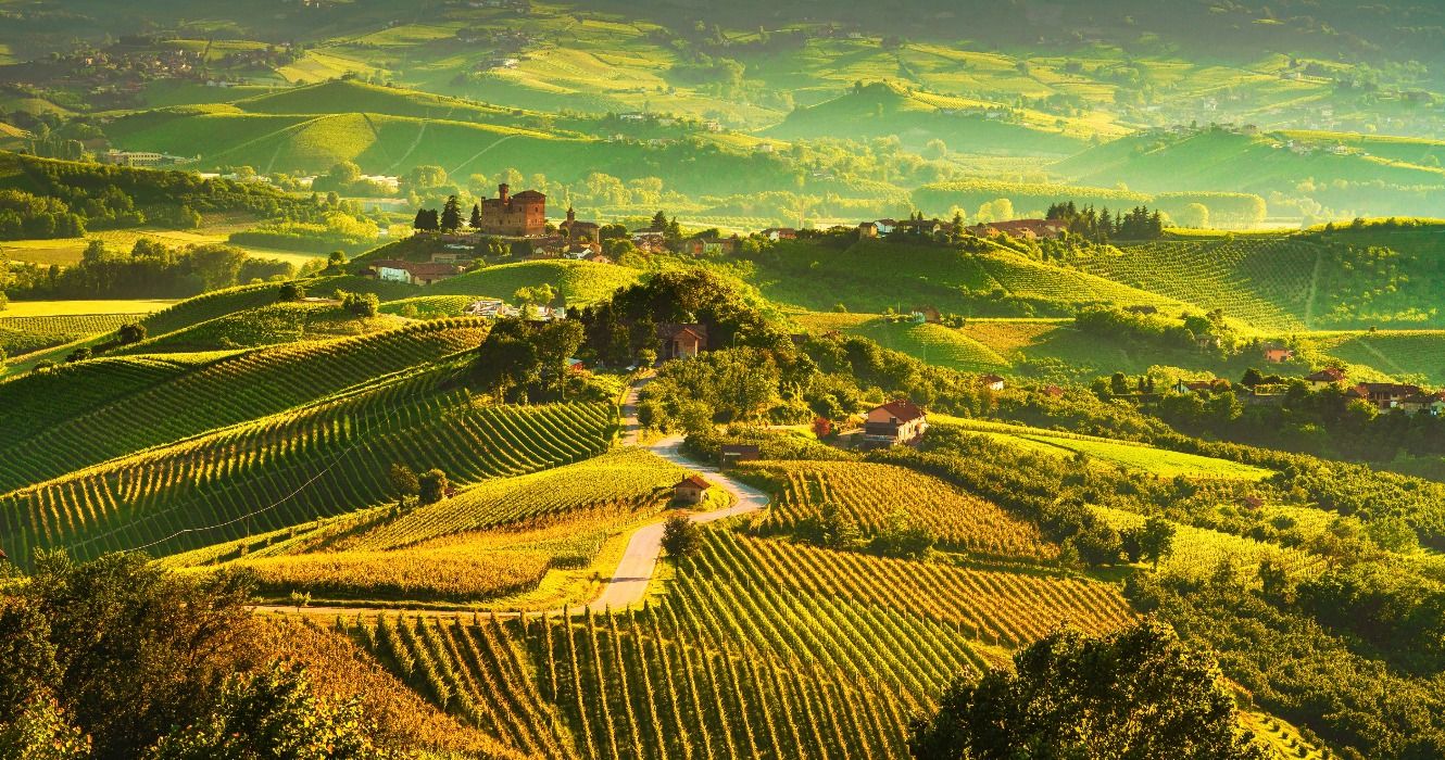 Langhe vineyards, Grinzane Cavour, Piedmont, Northern Italy, Europe