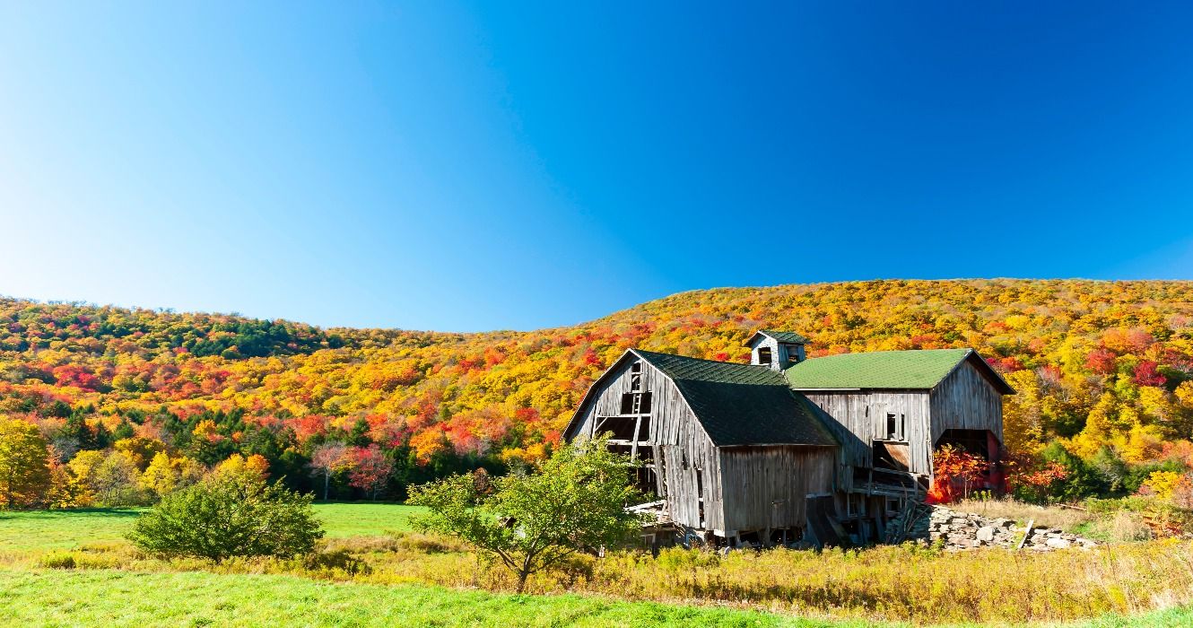 Fall foliage colors in the autumn in the Catskills Mountains, Upstate New York, NY, USA