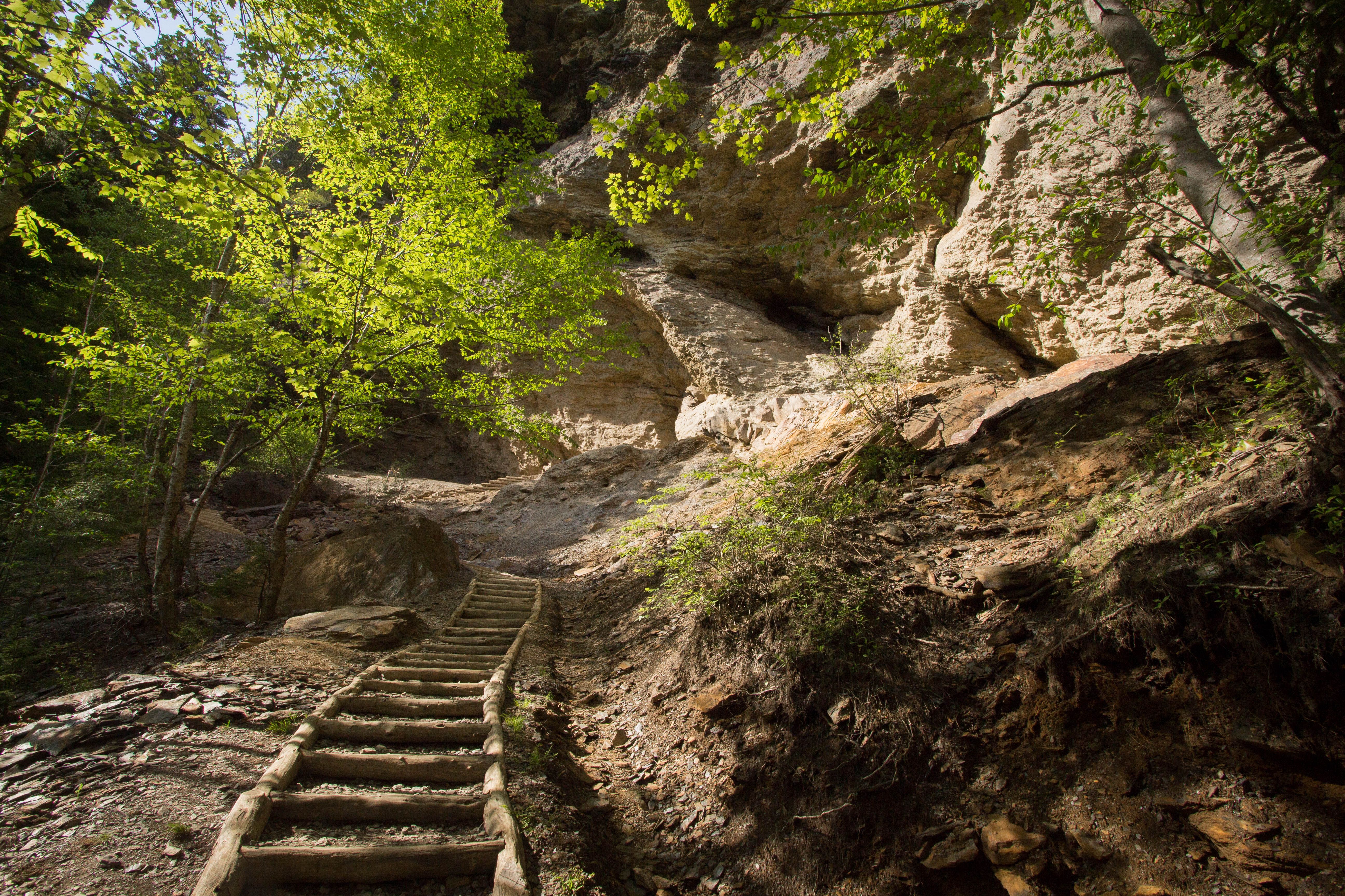 Hardest Hikes In Great Smoky Mountains National Park