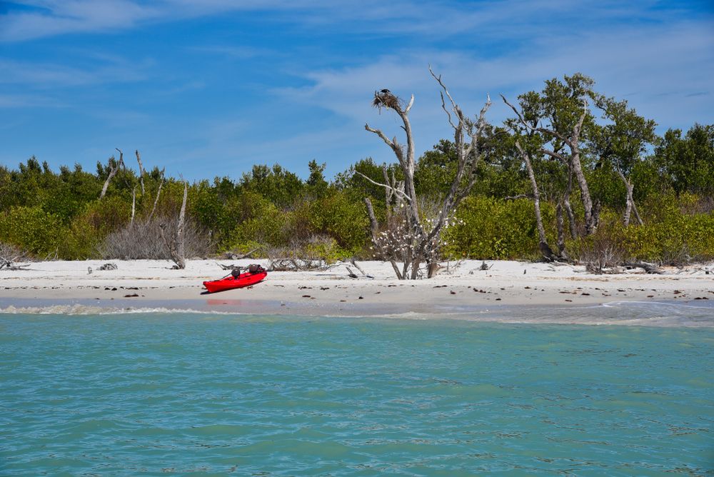 A beach on Cayo Costa Island, FL, Florida, USA