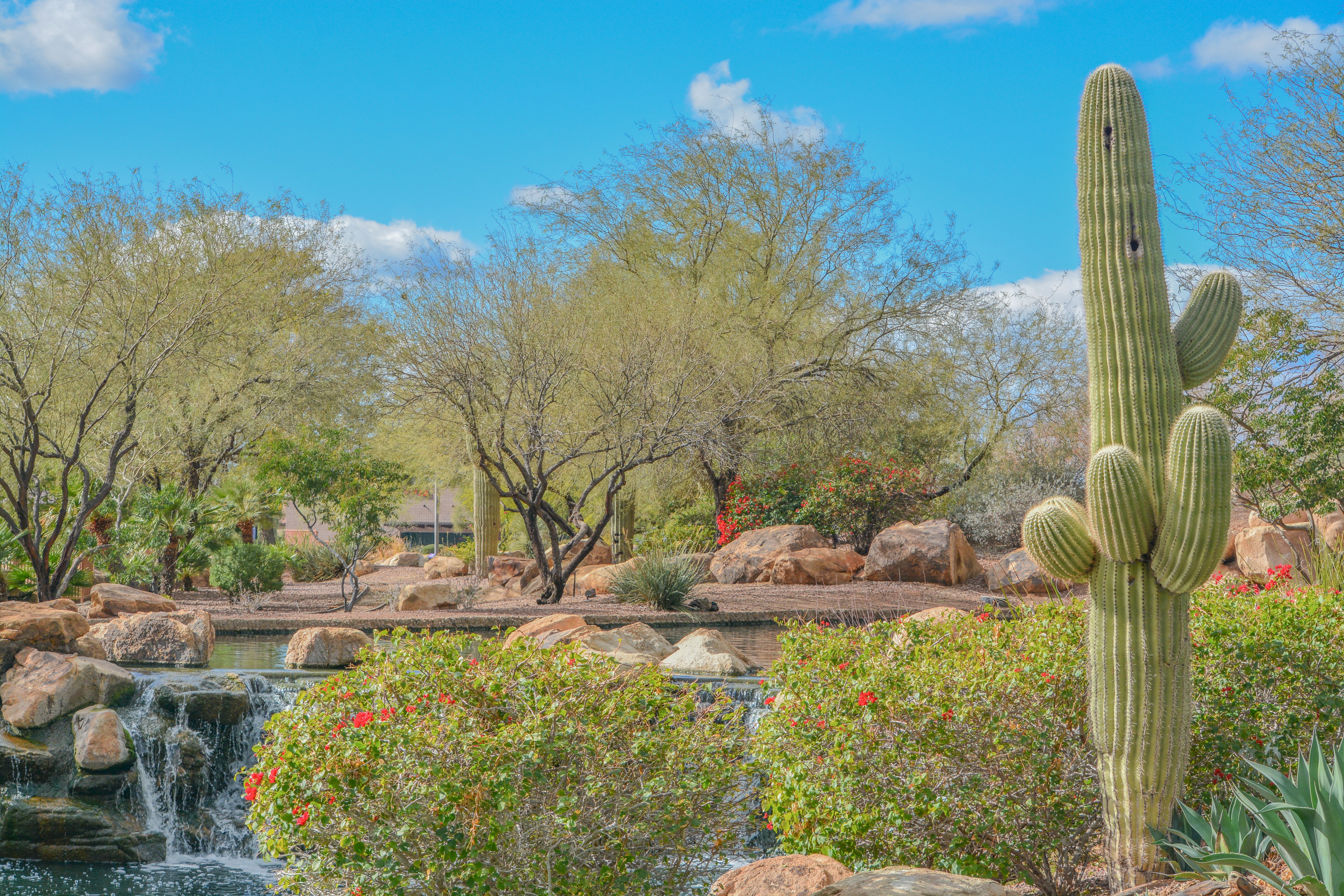 Anthem, Arizona