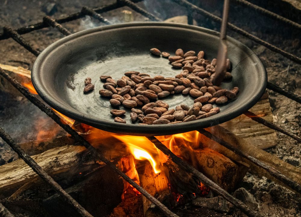 Chocolate cocoa beans roasted in the ancestral way of chocolate making by the local communities of the Amazon in Ecuador, South America